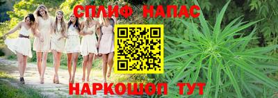 мдпв Новодвинск